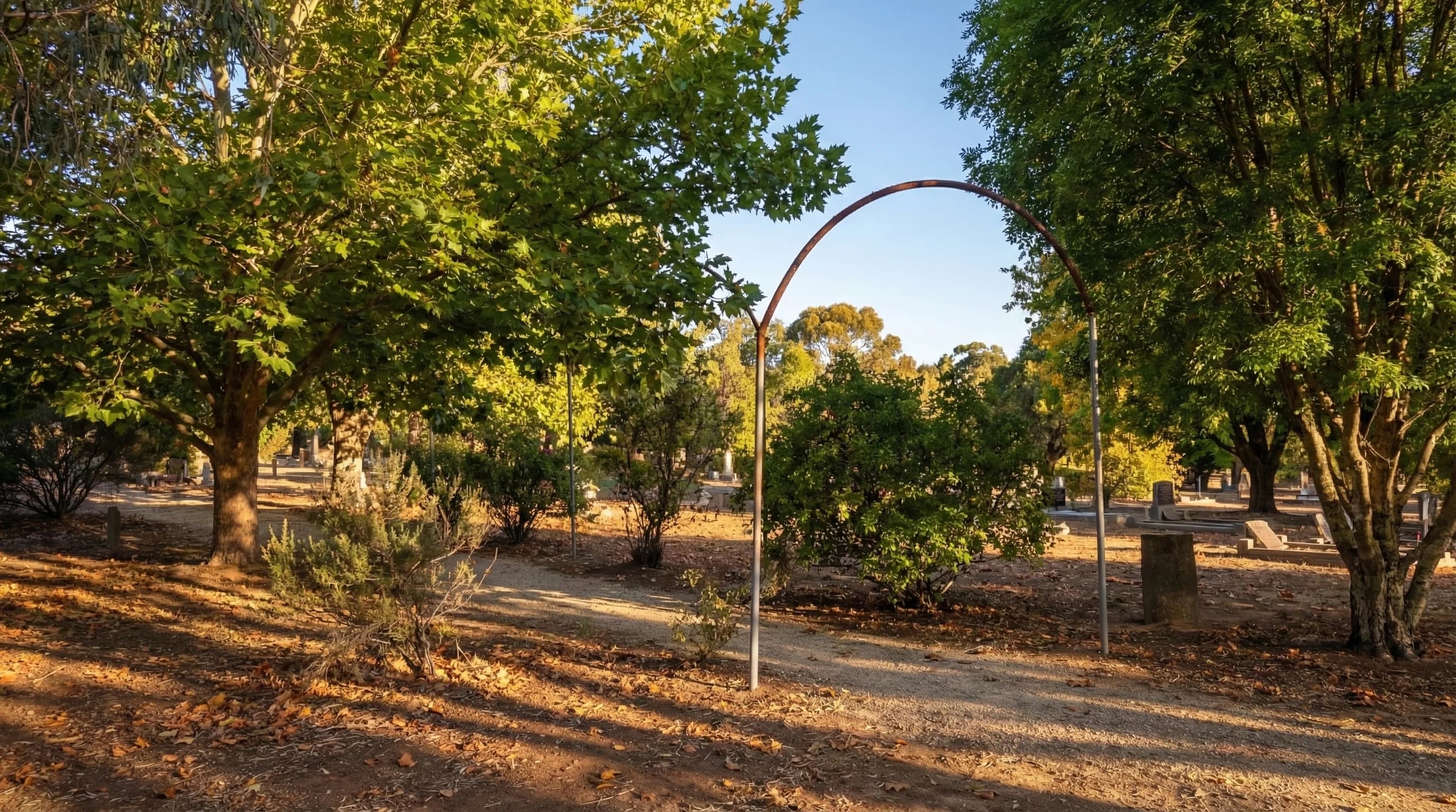 Tree-lined path through the cemetery grounds